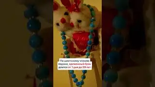 ЗАМУЖ НА ЧАС