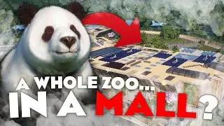 🛍️ An Entire Zoo... IN A MALL? | Planet Zoo Tour
