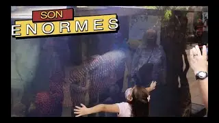 THE BIGGEST AND OLDEST FISH||||||😡🐟🐟