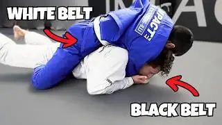 1 Black Belt  VS. 25 White Belts (Jiu Jitsu)