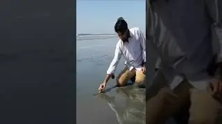 پھر جلاؤں میں ساری دنیا جلا دوں