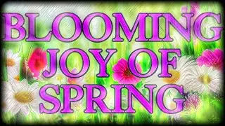 🔮VX🔮-🍁WL24🍁- Blooming Joy of Spring (GTAV HardcoreMaps)