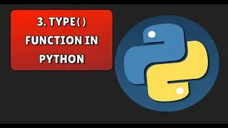 Type function in python in english