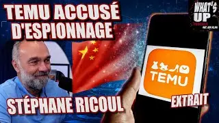 TEMU accusé d'ESPIONNAGE / Stéphane Ricoul / What's Up Podcast (Extrait)