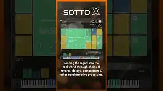 SOTTO X - Wet & Dry Phrases