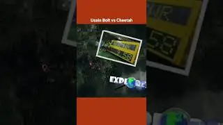 Usain Bolt vs. Cheetah #trackandfield #fast #usainbolt