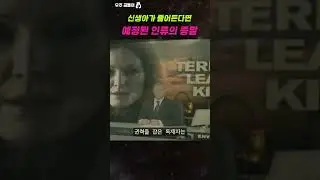만약 신생아가 계속 줄어든다면? (ft. 예정된 인류의 종말) #shorts