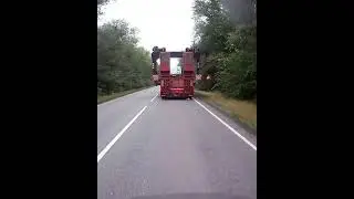 Того гляди ,веткой прибьёт.