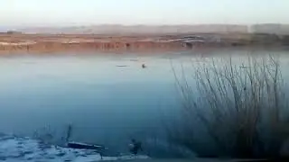 Первый выезд на пруд .