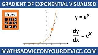 GRADIENT OF e^x (Ep.4 of 5) 📱 www.mathsadviceonyourdevice.com