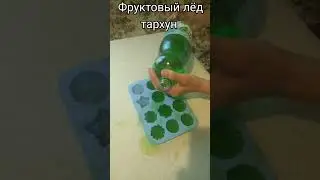 20 августа 2024 г.