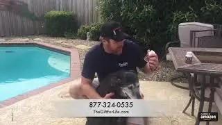 Matt Poldrugach talks about Boris