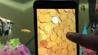 العملة الذهبية وطرق النصب المنتشرة عبر طرق المراسلات
