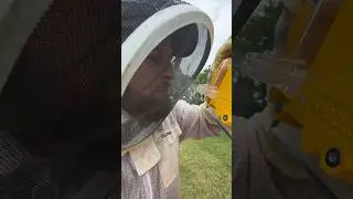 This ISN’T Smoke (a new way to calm bees)
