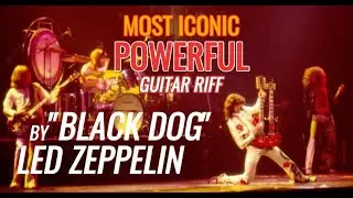 LED ZEPPELIN BLACK DOG 