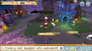 Что меняют на весь мой обмен? | Волшебная Мира | Animal Jam | Джаммер