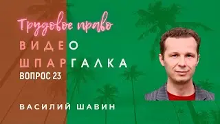 Видео-шпаргалка 23. Права и обязанности работника и работодателя