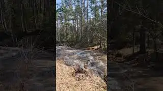Речка Белокуриха вдоль терренкура #белокуриха