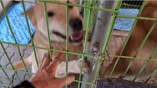 한번더 한번 더 ᆢ번개형님의 뜀뛰기