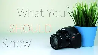 Canon SL2 (200D) | What you NEED to know | Review