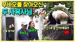 [ep.276] 잠만 자는 푸바오를 먹이기 위해 직접 푸바오 곁에 찾아오신 왕사육사님과 탕사육사님🙋🏻‍♂️(그 전말을 여과없이 보여드림!!) 밥먹이기 대작전🔥ㅣ입뚜껑은 왜...🤭