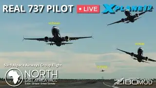 53rd Alpaca Airways Members Group Flight | Addis Ababa Overload | ZIBO MOD 737 | XP12
