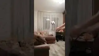 Не играйте дома в футбол!!!