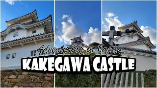 🏯Exploring Kakegawa Castle🌸 | Adventuring in Japan 🚘