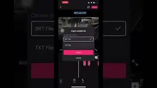 How to export subtitle file - SRT&TXT
