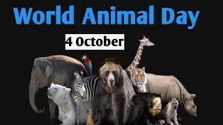 World Animal Day I 10 lines on world Animal day in English