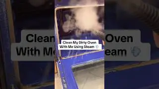 Clean My Gross Oven With Me