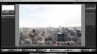 Composition Tips Using the Grid Mode