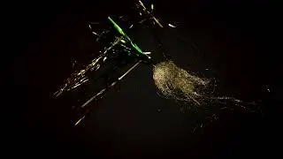 JINGLE BELLS animation FiRe WoRk by Filip Turtelboom