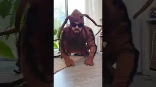 The Giant Roach!