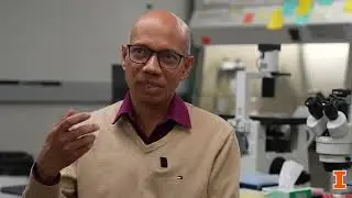 Professor Taher Saif - NAE Election