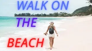 Walk On The Beach by Spiring (No Copyright Music)