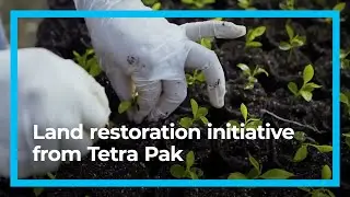 The Araucaria Conservation Programme - Land restoration initiative from Tetra Pak