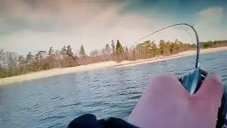 Снасти здрасти топ!