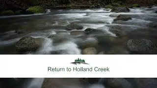 Return to Holland Creek