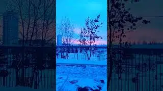 11.01.2023 Московские морозы. 🥶🌨️