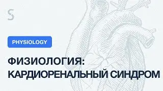 USMLE Step 1 - Физиология: кардиоренальный синдром
