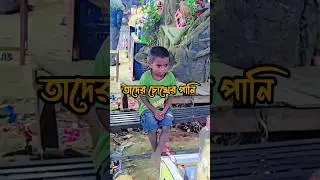 তাদের চোখের পানি দেখার মত কেউ নেই 