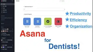 Asana Tutorial   Dr  J