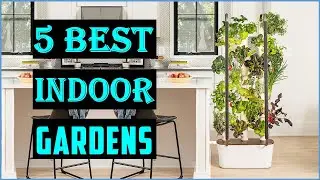 Best Indoor Gardens 2023 | Best Top 5 Indoor Hydroponic Systems You Can Buy In 2023