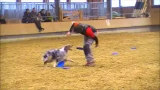 Ufo Local Svizzera 15 03 2014 INDOOR DISCDOG Turnier 2014 A