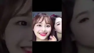 Chuu is a different Breed 
