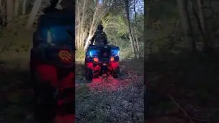 Бобровая тропа #квадроцикл #hisun #грязь #offroad #эндуро