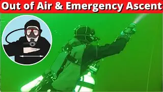 Scuba Diver Out of Air and Emergency Ascent - Catastrophic Buddy failure