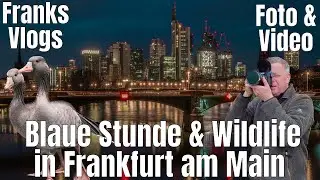 Blaue Stunde & Urban Wildlife vor der   Skyline Frankfurt großes Youtuber & Fotografen  Treffen