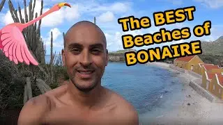 The best Beaches of Bonaire | Washington Slagbaai National Park